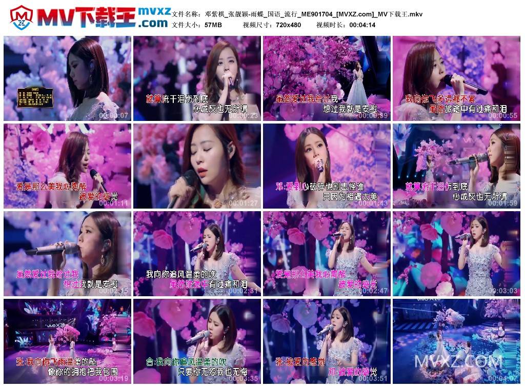 邓紫棋_张靓颖-雨蝶_国语_流行_ME901704